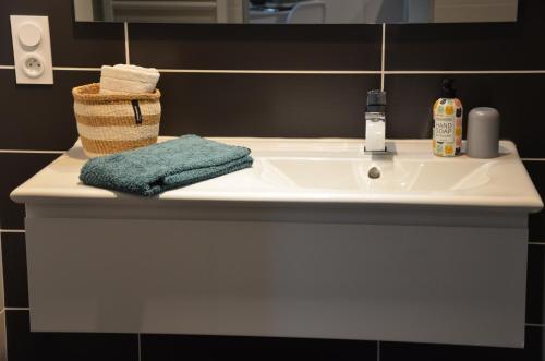een wastafel met een handdoek en een mand erop bij Grand T2 Port de Vannes, vue sur jardin in Vannes