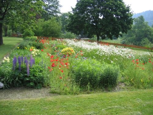 a garden filled with lots of colorful flowers at Pension & Ferienhaus Latröpchen in Schmallenberg