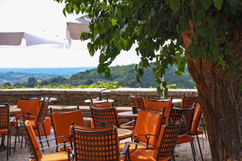 a group of chairs and tables under a tree at B&B Artegnana 1798 in Grožnjan