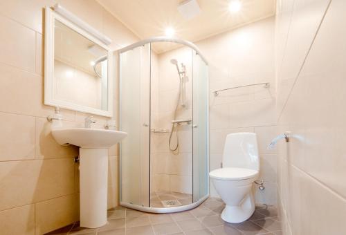 a bathroom with a shower and a toilet and a sink at Majesi Apartments in Märjamaa