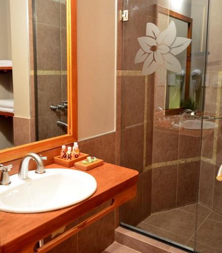 a bathroom with a sink and a shower at Santa Ines Bella Vista Hotel in Bella Vista