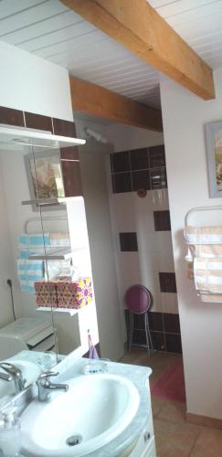 une salle de bain avec un lavabo et un miroir dans l'établissement Chambre du Raisin, à Puyricard