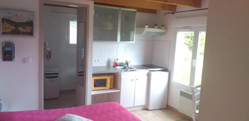 une petite cuisine avec un évier et un réfrigérateur dans l'établissement Chambre du Raisin, à Puyricard