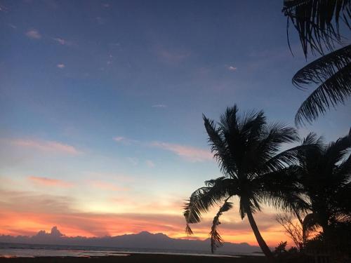 zachód słońca z dwoma palmami na plaży w obiekcie Kobe's Beachfront Haven w mieście Siquijor