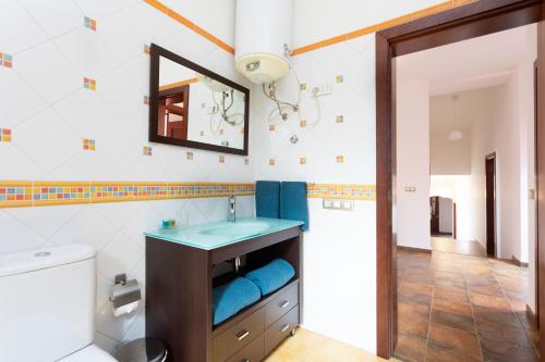a bathroom with a sink and a toilet and a mirror at Villa Santa Rosa Tenerife in Tacoronte