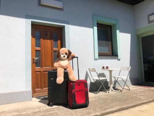 a teddy bear sitting on top of two suitcases at Apartments Avram in Vršac