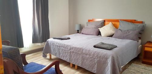 una camera da letto con letto, cuscini e sedia di Art Apartment - Harz a Stolberg i. Harz