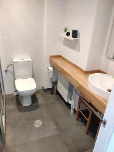 a bathroom with a toilet and a sink at Apartamento LOS VEGA- parking privado in Oviedo