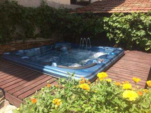 a swimming pool with a hose in a yard at Mira Guest House in Dobrinishte