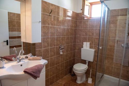 a bathroom with a toilet and a sink and a shower at Anna Vendégház Tarcal in Tarcal