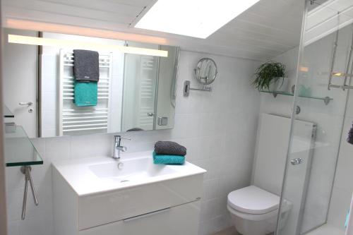 a bathroom with a sink and a toilet and a mirror at Ferienwohnung am Stemberg in Detmold