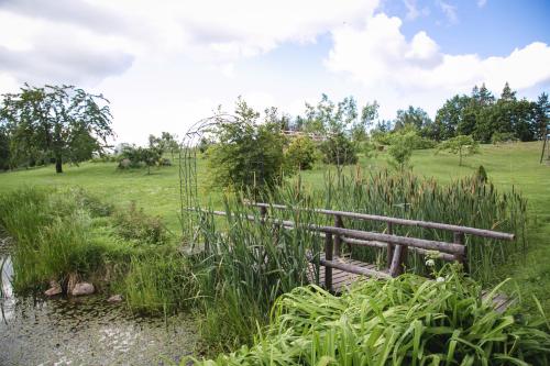 a wooden bench in a field next to a pond at Weavers' Guest House Kalndaki in Milzkalne