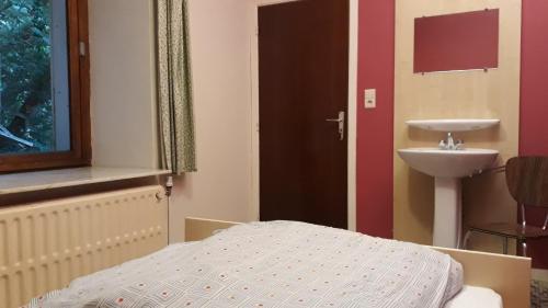 a bedroom with a bed and a sink and a door at Le Moulin Lemaire in Houffalize
