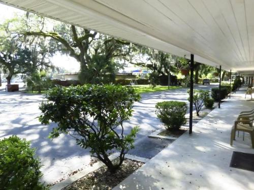 a group of trees and bushes under a white tent at Cindy’s Motel & RV Park in Mayo