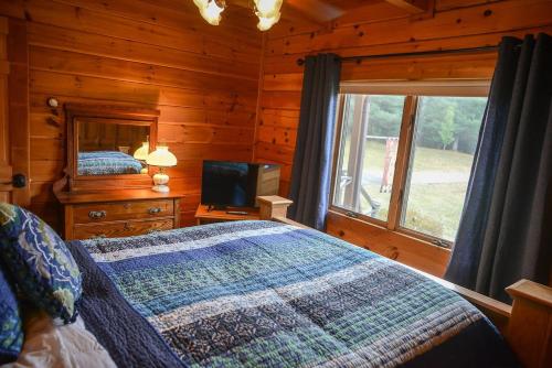 - une chambre avec un lit et une télévision dans une cabine dans l'établissement Colgate Lake Lodge, à East Jewett