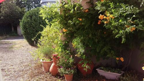 un grupo de plantas en macetas sentadas junto a una pared en chambre d'hôte les avettes, en Réméréville