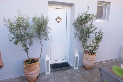 Κήπος έξω από το Lf Suites - Irene