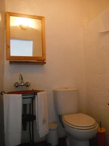 a bathroom with a toilet and a sink and a mirror at Casa Do Alto Da Eira in Albergaria dos Fusos