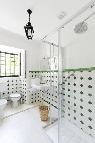 a bathroom with a shower and a toilet and a sink at Quinta do Valdalágea in Peso da Régua