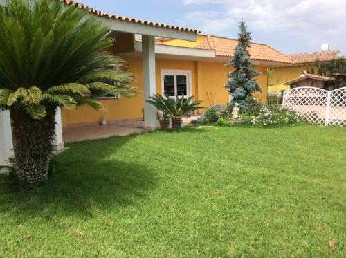 a house with a palm tree in the yard at Relais Le Folaghe in Ladispoli