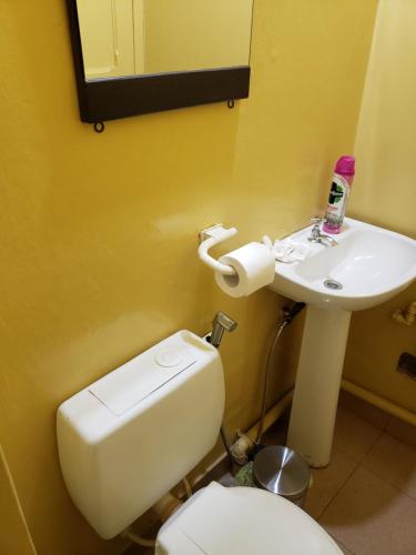 La salle de bains est pourvue de toilettes blanches et d'un lavabo. dans l'établissement Anto Jujuy, à San Salvador de Jujuy