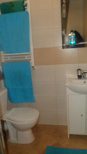 a bathroom with a toilet and a sink with blue towels at Waszczyszynówka Bieszczady in Bandrów Narodowy