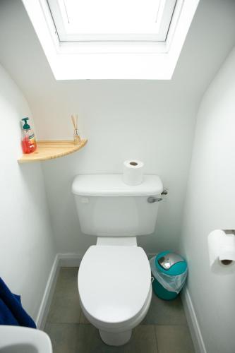 a bathroom with a white toilet with a skylight at Sailing's Island Rooms in Inisheer