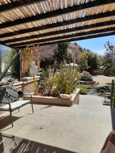 a patio with a wooden pergola and some plants at Hotel El Milagro in Pisco Elqui