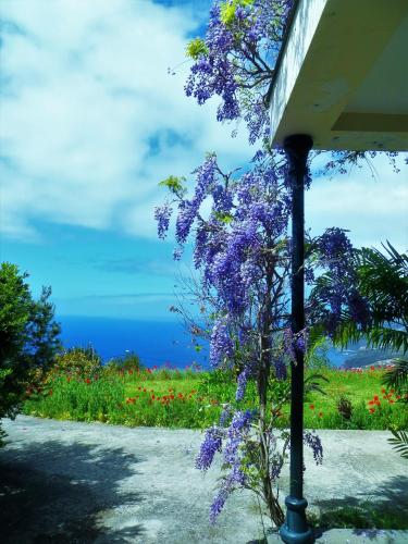 Φυσικό τοπίο κοντά σε αυτός ο ξενώνας