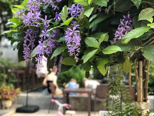 Zahrada ubytování Feung Nakorn Balcony Rooms and Cafe