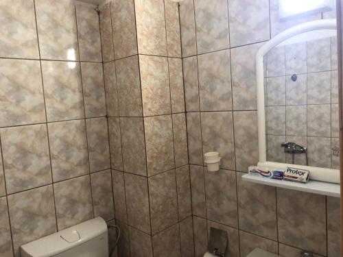 ein Bad mit einer Dusche, einem WC und einem Spiegel in der Unterkunft Vila Tanase in Costinești