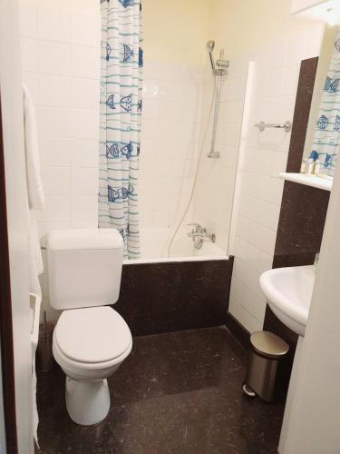 a bathroom with a toilet and a tub and a sink at Hotel Queen Mary in Brussels