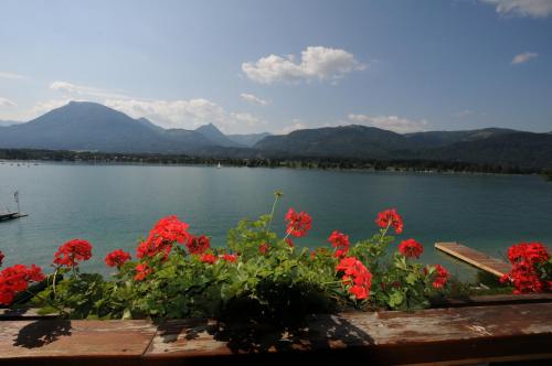 a view of a lake with red flowers and mountains at Hotel Garni Buchinger in St. Wolfgang