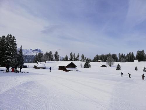 a group of people skiing in a snow covered field at Churchstreet appartements in Meiringen