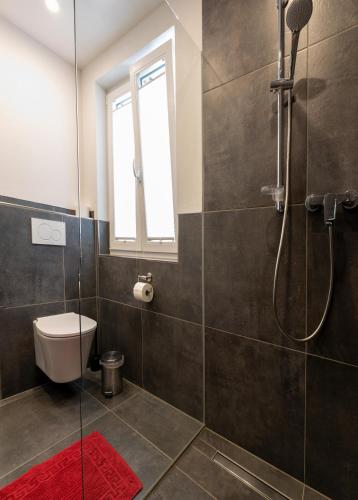 a bathroom with a shower with a toilet and a window at Alte Bahnhofstraße 12 in Karlstadt