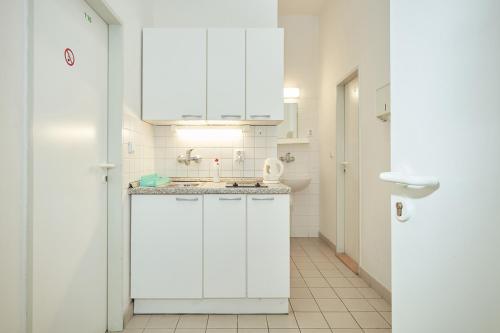 Kuchyň nebo kuchyňský kout v ubytování Hostel Mikoláše Alše