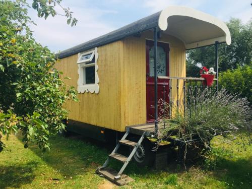 ein winziges Haus mit einer Veranda und einer Leiter in der Unterkunft Holiday Home in Bergen op Zoom with Garden in Bergen op Zoom
