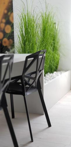 a black chair sitting in front of a plant at WEST RESIDENCE APARTMENTS in Timişoara