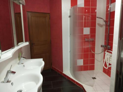 a bathroom with a sink and a shower with red tiles at gite de la fontaine in Épothémont