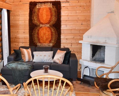 uma sala de estar com um sofá e uma lareira em Chalet Suomukka em Suomutunturi
