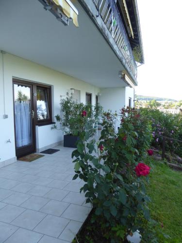a house with a garden with roses in the yard at Ferienwohnungen Dora in Michelstadt