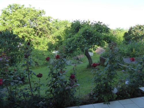 een uitzicht op een tuin met rozen bij Ferienwohnung Dora 2 in Michelstadt