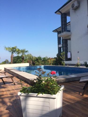 a white planter with flowers in it next to a swimming pool at Guest House Botanical Paradise in Mtsvane Kontskhi