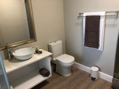 a bathroom with a toilet and a sink and a mirror at Summerseas 56 in Port Elizabeth
