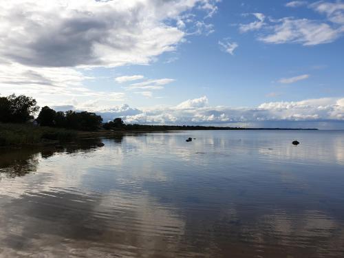 a large body of water with trees and clouds at Nina puhkemaja in Nina