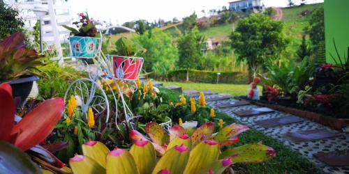 a garden with colorful flowers and a pathway at บ้านปลายฝัน Baanplaifun in Ban Huai Phai