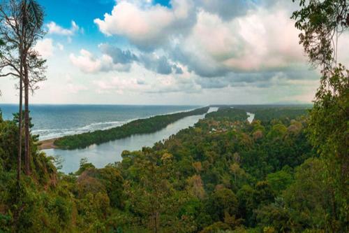 a view of a river with trees and the ocean at casa chilamates in Tortuguero