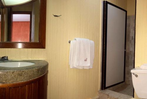 a bathroom with a sink and a towel on a wall at Hotel Fenix in Tapachula