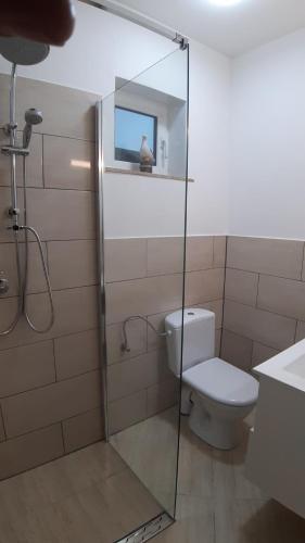 a bathroom with a toilet and a glass shower stall at Ferienwohnung Smillenzweg mit Garten in Lohme