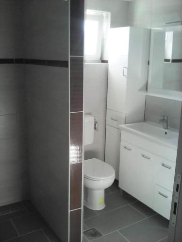 a bathroom with a white toilet and a sink at Apartmani Pavković in Stari Mikanovci
